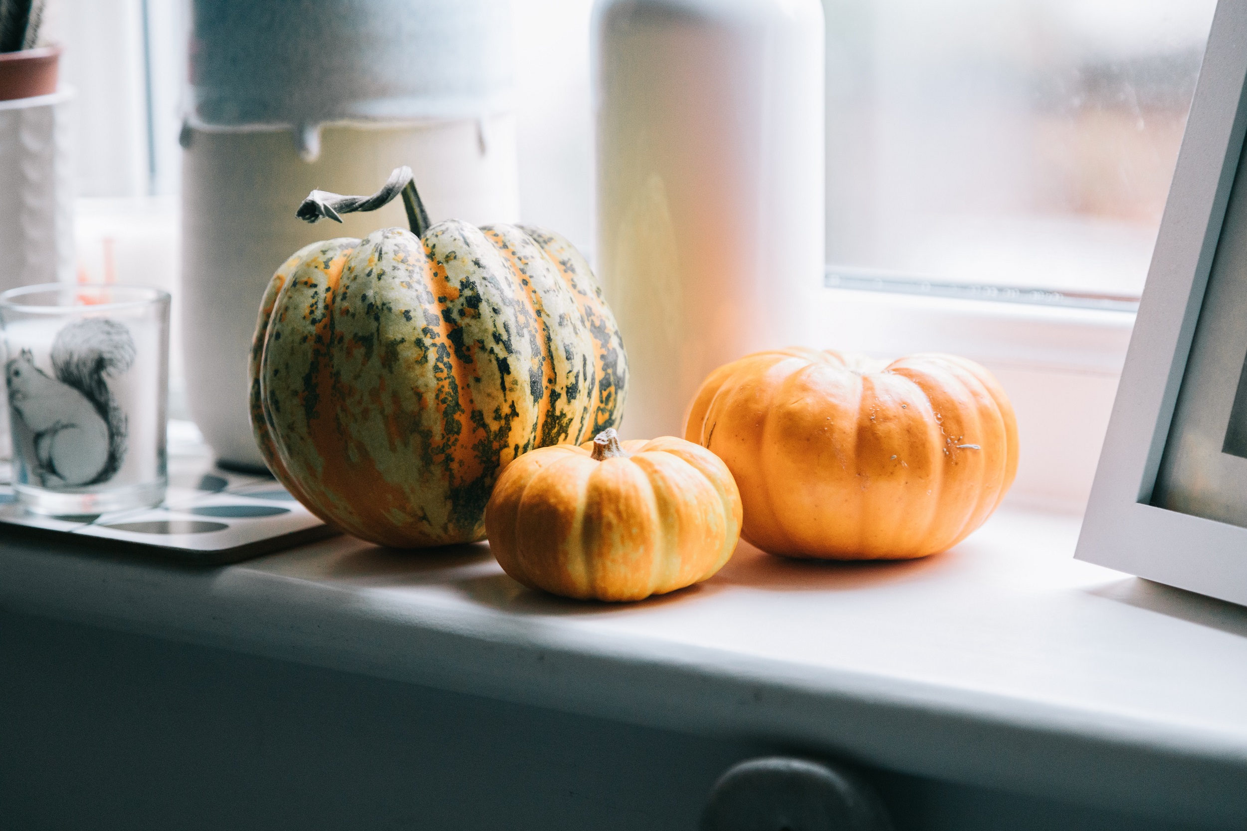 Munchkins on display in kitchen window